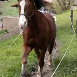 Muessache By Interhome * Dürrenroth