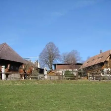 Muessache By Interhome Daire Dürrenroth