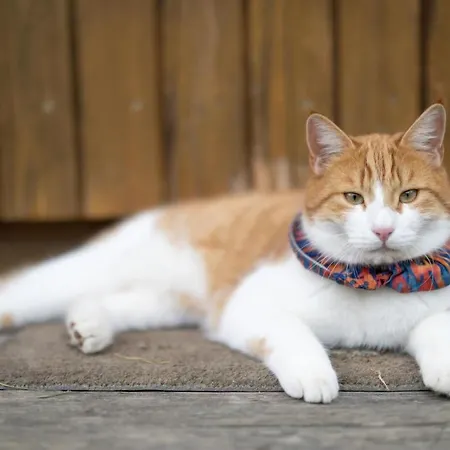 Muessache By Interhome *