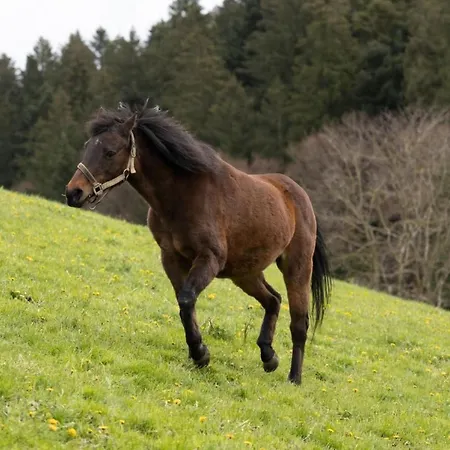 Appartement Muessache By Interhome *