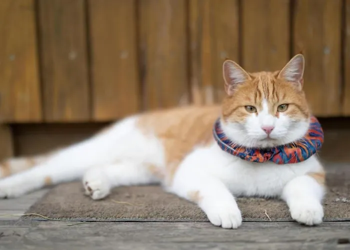 Muessache By Interhome *