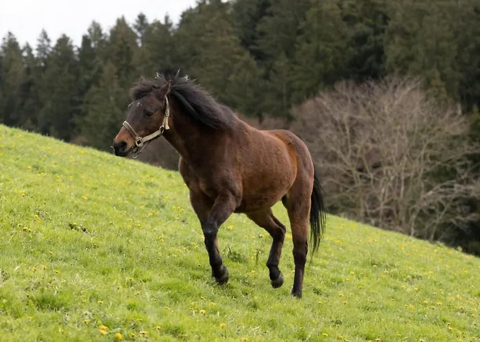 Lägenhet Muessache By Interhome *