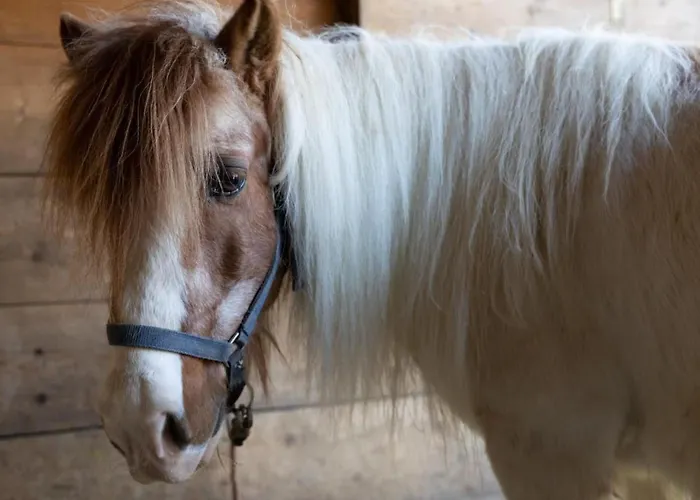 Muessache By Interhome Lägenhet *