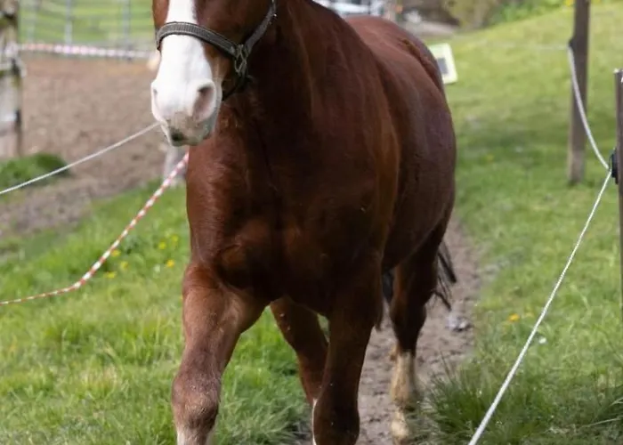 Muessache By Interhome * 듀렌로스