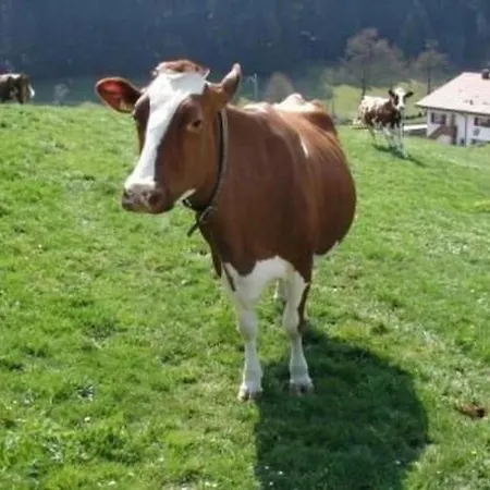 Muessache By Interhome *