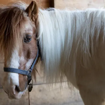 Muessache By Interhome Apartamento *